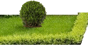 Gartenbeet - Darmowy animowany GIF