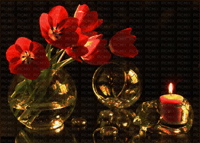 ani-bg-blomma-födelsedag - Darmowy animowany GIF