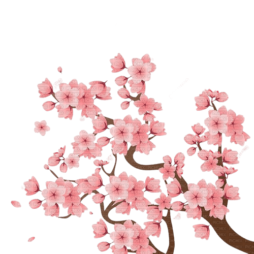 sakura flowers border - gratis png