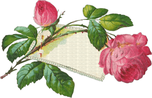 Vintage Rose with Card - фрее пнг