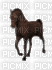 Horse - Бесплатный анимированный гифка