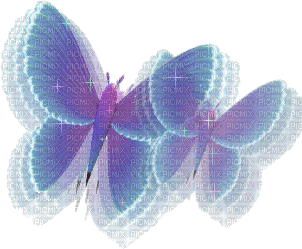 Gif Papillon - Ücretsiz animasyonlu GIF