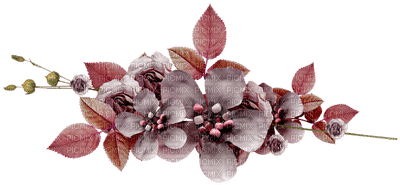 deco flowers anastasia - PNG gratuit