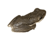 brown frog - δωρεάν png