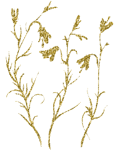 golden flowers -Nitsa P - Ingyenes animált GIF