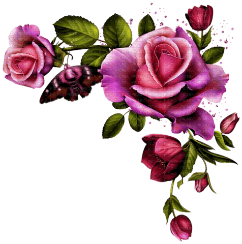 Pink and Purple Roses Corner - zdarma png