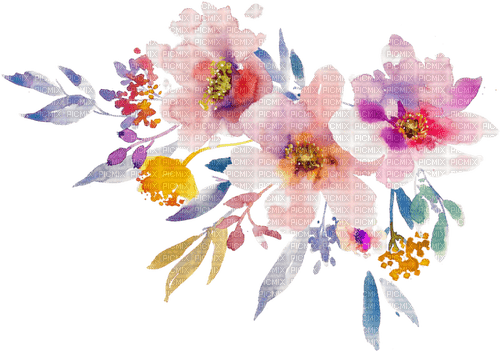 MMarcia flores aquarela fleurs aquarelle - 免费PNG
