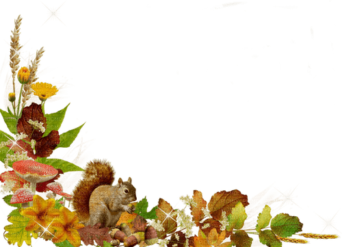 autumn/decoration - png gratis