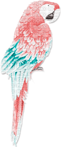 soave deco summer bird parrot tropical pink teal - δωρεάν png