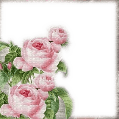 frame cadre flowers - ilmainen png