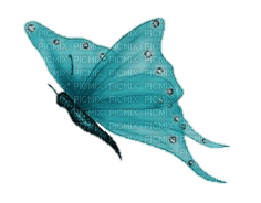 butterfly - δωρεάν png