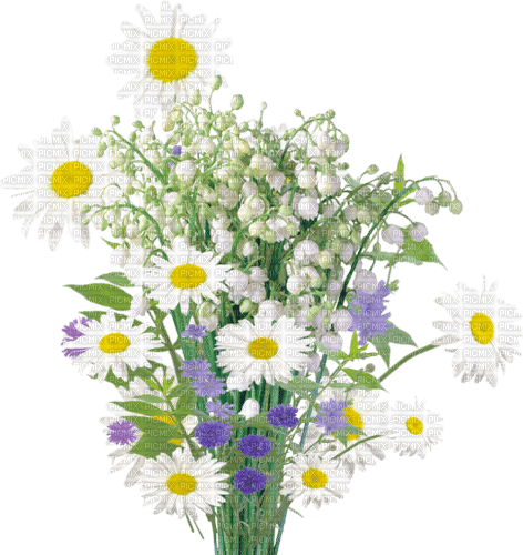bouquet with lily of the valley daisies - Free PNG