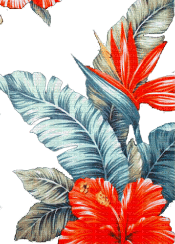 tropical milla1959 - GIF animado gratis