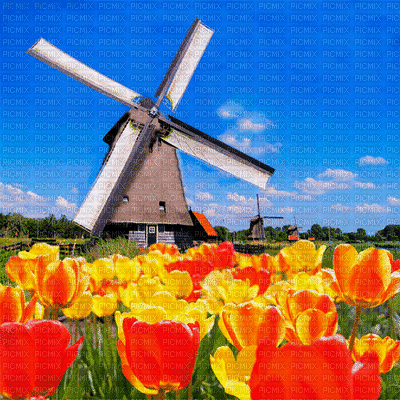 Dutch bp - Darmowy animowany GIF