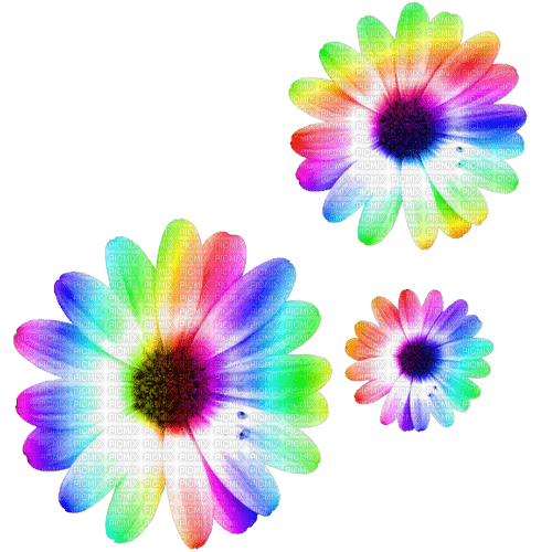 Flowers.Rainbow - δωρεάν png