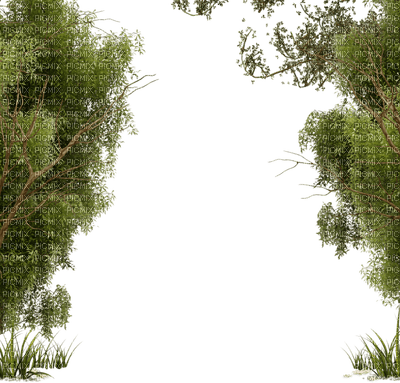frame-träd-bård-grön - ilmainen png