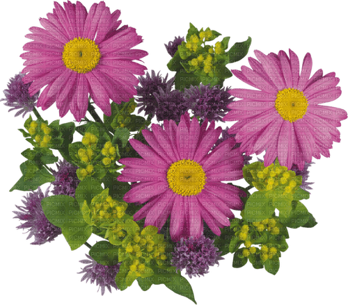 flowers deco purple kikkapink - darmowe png