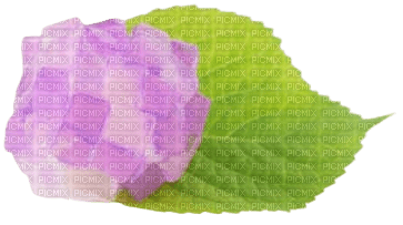 hydrangea jelly - ücretsiz png