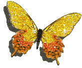 butterfly whit schlappi50 - Nemokamas animacinis gif
