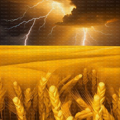 Wheat Field with Lightning - 免费PNG