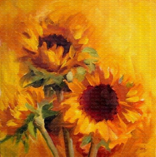 Sunflower  background - gratis png