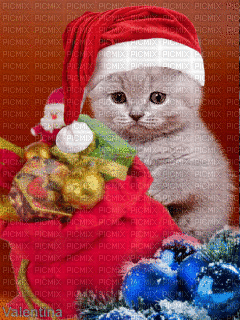 gatto natale - GIF animasi gratis
