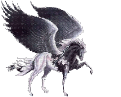 Pegasus bp - 免费动画 GIF