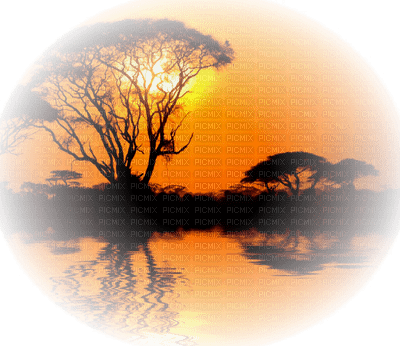 Africa landscape bp - 免费PNG