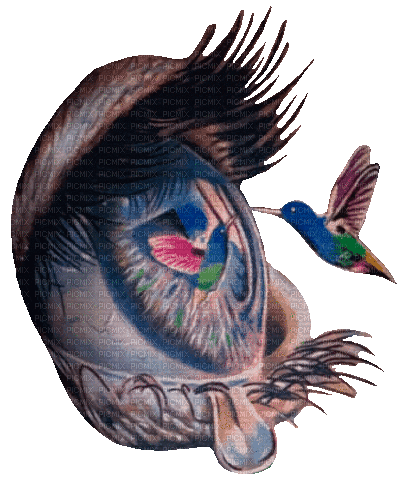 Fantasie-Kolibri - Gratis geanimeerde GIF