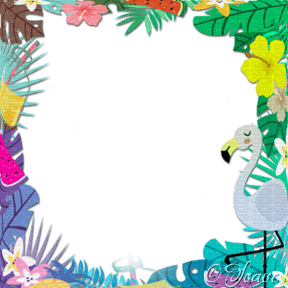 soave frame summer flowers tropical bird leaves - zadarmo png