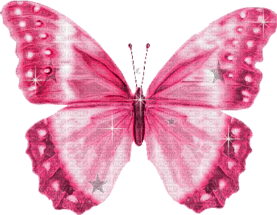 PINK BUTTERFLY GIF papillon pink - GIF animado grátis