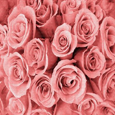 Kaz_Creations Deco Flowers  Backgrounds Background Colours - GIF animé gratuit