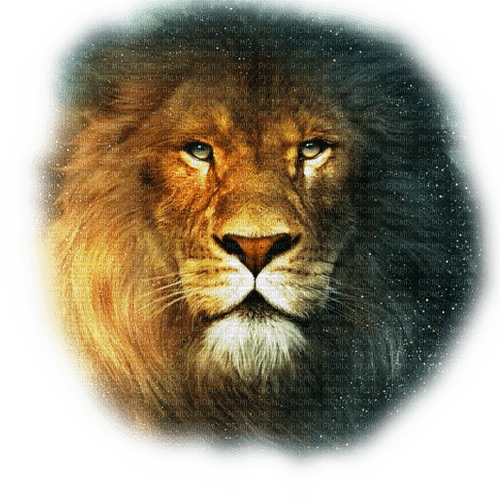 Rena Löwe Lion sternzeichen - bezmaksas png