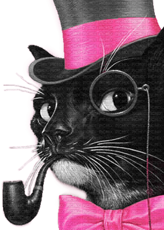soave cat animals vintage deco black white pink - 免费PNG