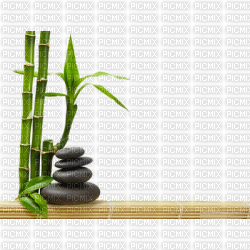 chantalmi bambou  fond - kostenlos png