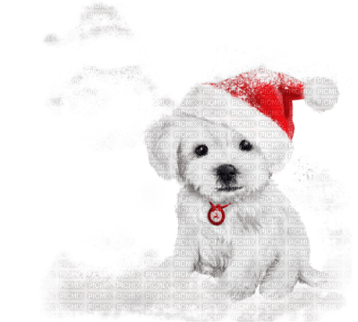 Kaz_Creations Christmas Dog Pup Dogs Colours - png ฟรี