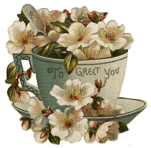 Kirschblüten, Tasse, Blumen, Vintage - δωρεάν png