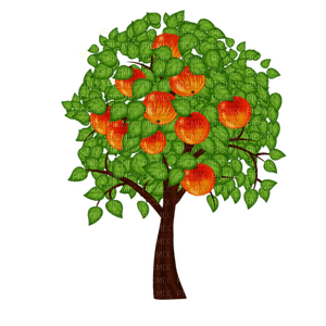 apple tree - ücretsiz png