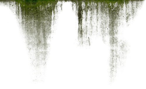 green stain mold dirty moss - zadarmo png