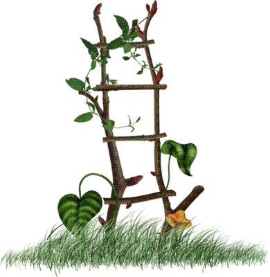 Kaz_Creations Ladders - kostenlos png