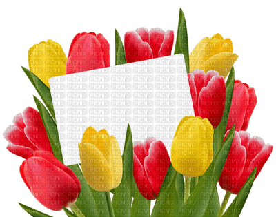Kaz_Creations 8th March Happy Women's Day Deco - безплатен png