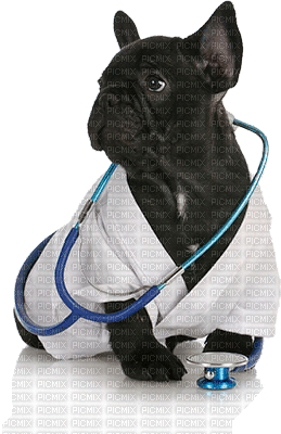 Veterinary clinic bp - GIF animado gratis