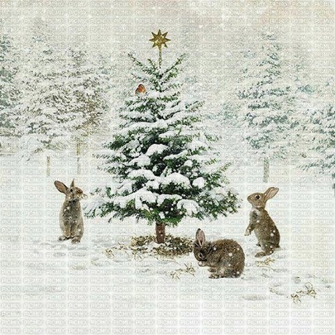 Christmas rabbits - darmowe png
