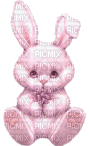 rabbit - Бесплатный анимированный гифка