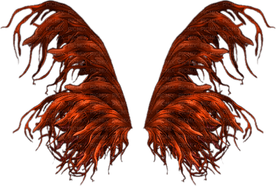 Flügel - darmowe png