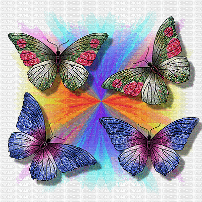 borboletas - Δωρεάν κινούμενο GIF
