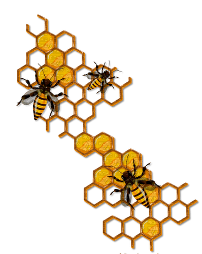 honey honeycomb bees sunshine3 - png gratis