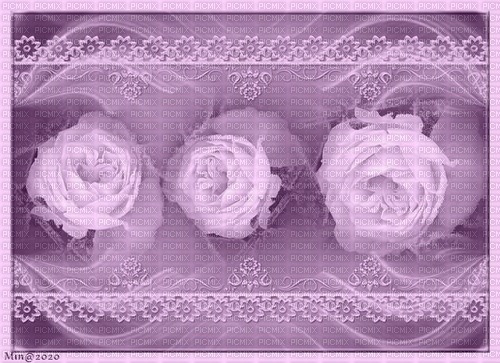 bg-lila-blommor--background-purple-flowers - png ฟรี