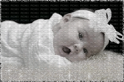 gif bebe - Besplatni animirani GIF