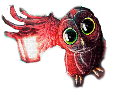 Y.A.M._Fantasy bird owl - ücretsiz png